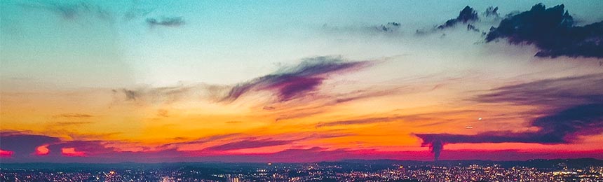 东阳茶虫网_东阳品茶